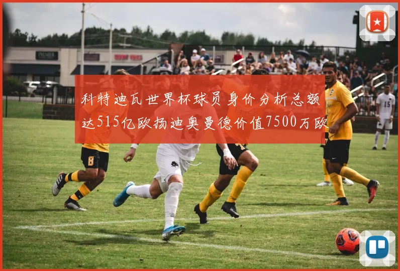 科特迪瓦世界杯球员身价分析总额达515亿欧扬迪奥曼德价值7500万欧